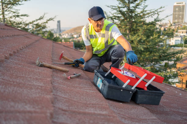 Professional Junk Removal in Silver Springs, NV